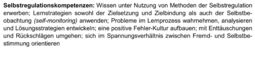 Vorschaubild Selbstregulationskompetenz/Lernkompetenz
