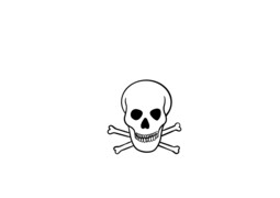 Vorschaubild Ein Index steht stellvertretend für ein Objekt, zeigt es aber nicht wie es in der Realität zu finden ist. So steht ein Totenkopf stellvertretend für Gift und soll abschreckend wirken. Es ist somit physisch mit dem Original verbunden.