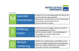 Vorschaubild Leitbild MSO