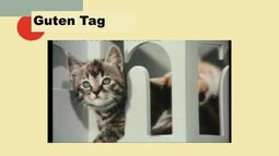 Vorschaubild