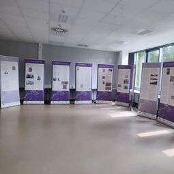Vorschaubild Ausstellung aufgebaut