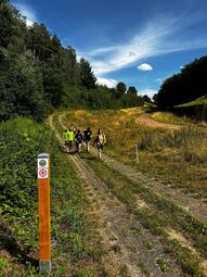 Vorschaubild 