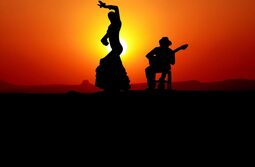 Vorschaubild flamenco.jpg