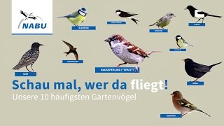 Vorschaubild